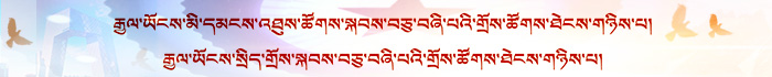 藏文兩會banner??.jpg